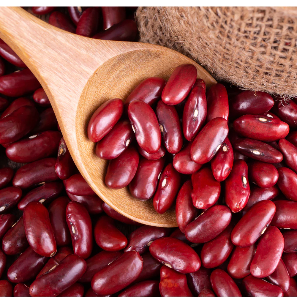 Red Rajma